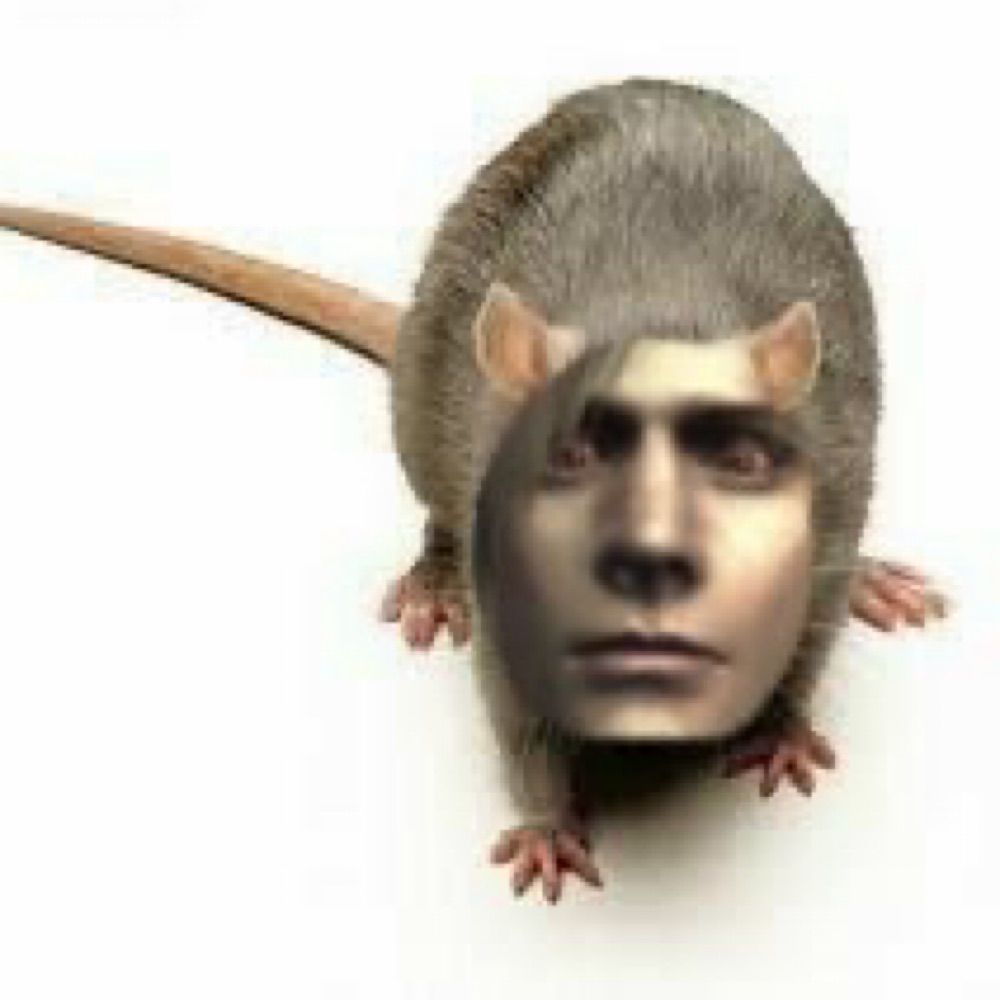 rat bitch supreme