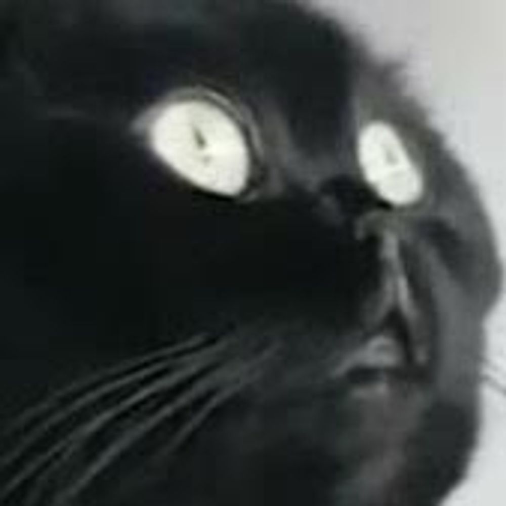 kit