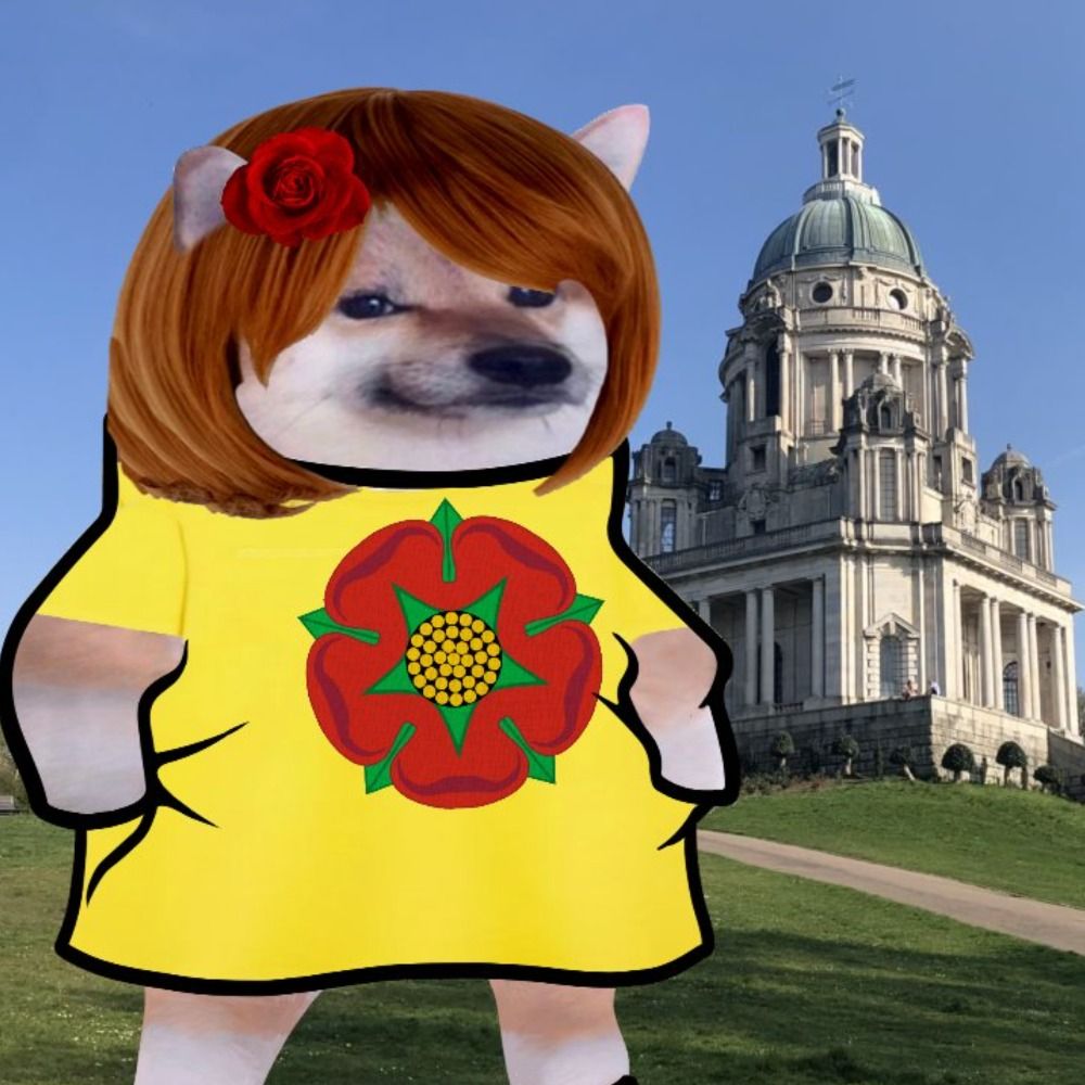 PamFella 🌻🦈🦈🦈🦈🌻🪑🇺🇦🇺🇦🇺🇦