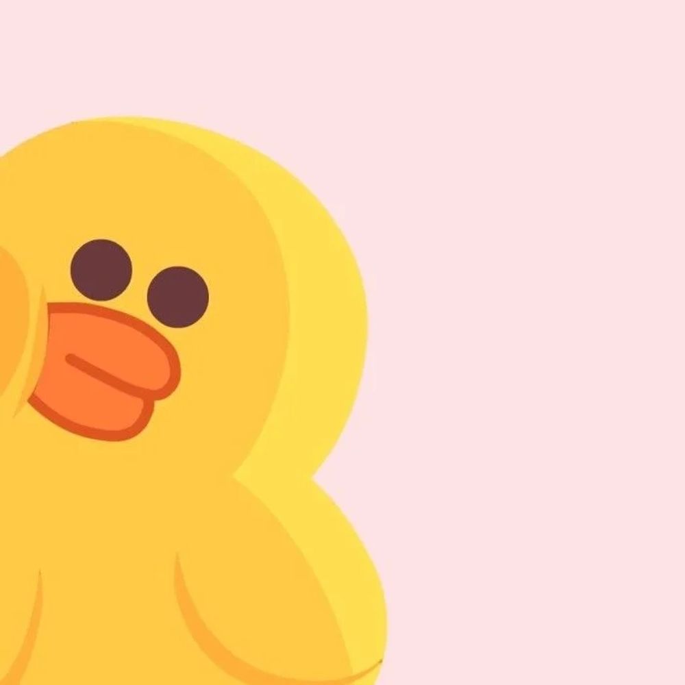 ducky 