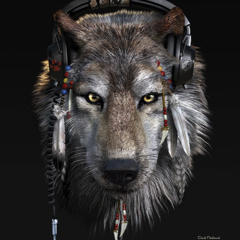 Profile picture graywolf78.bsky.social