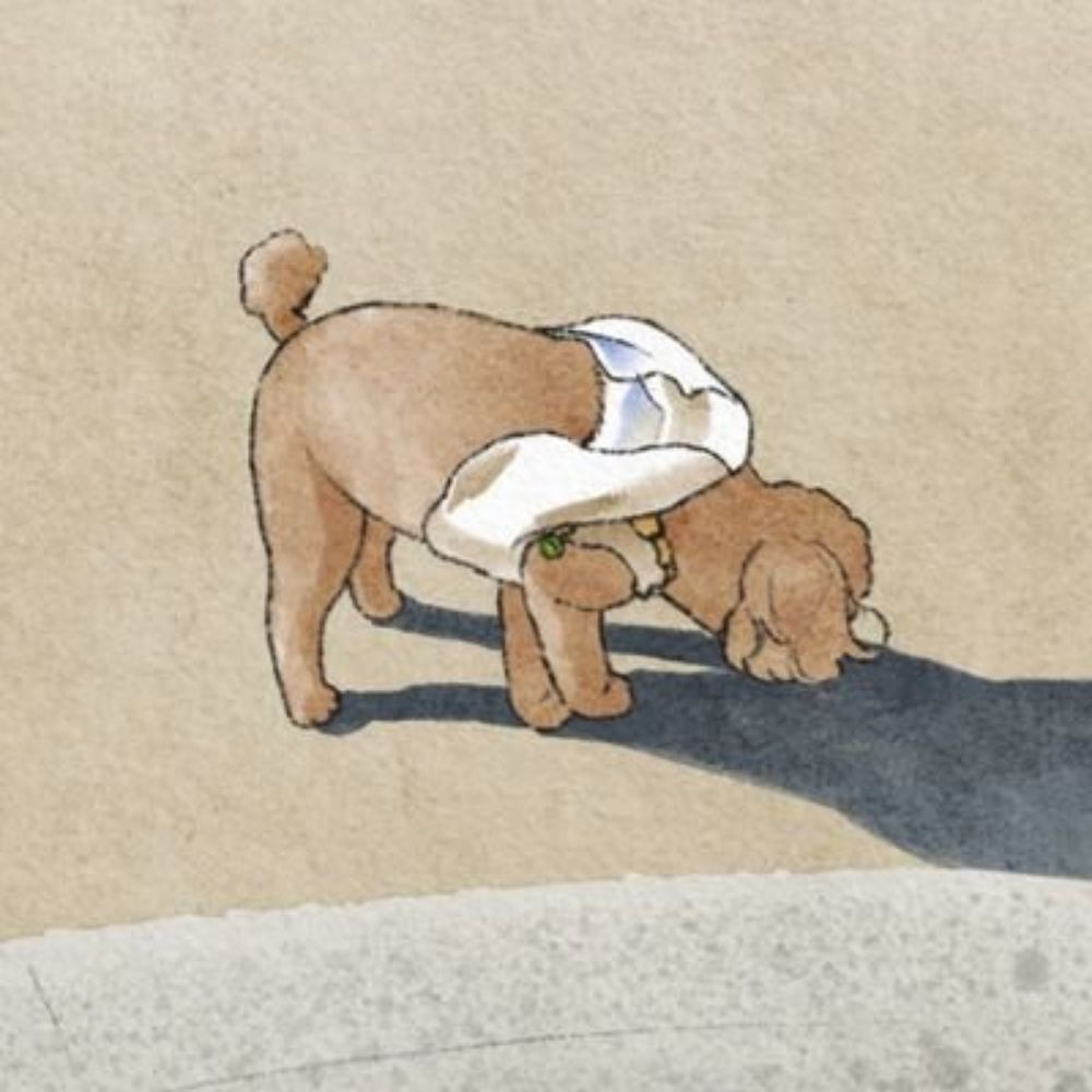 루디아
