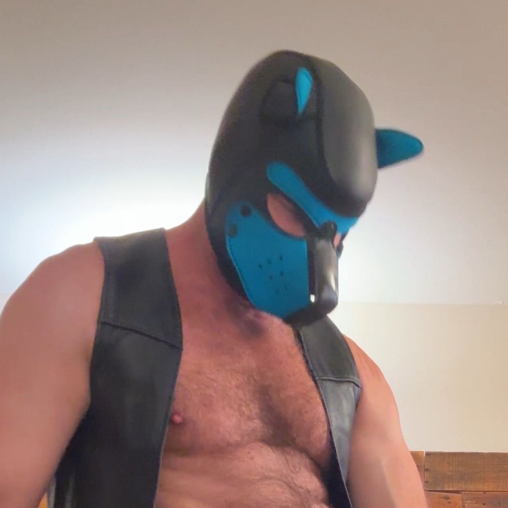 Bucky Cubbington alt account