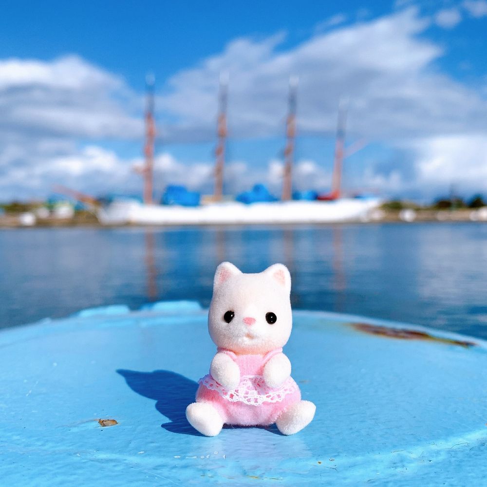 かなたくん