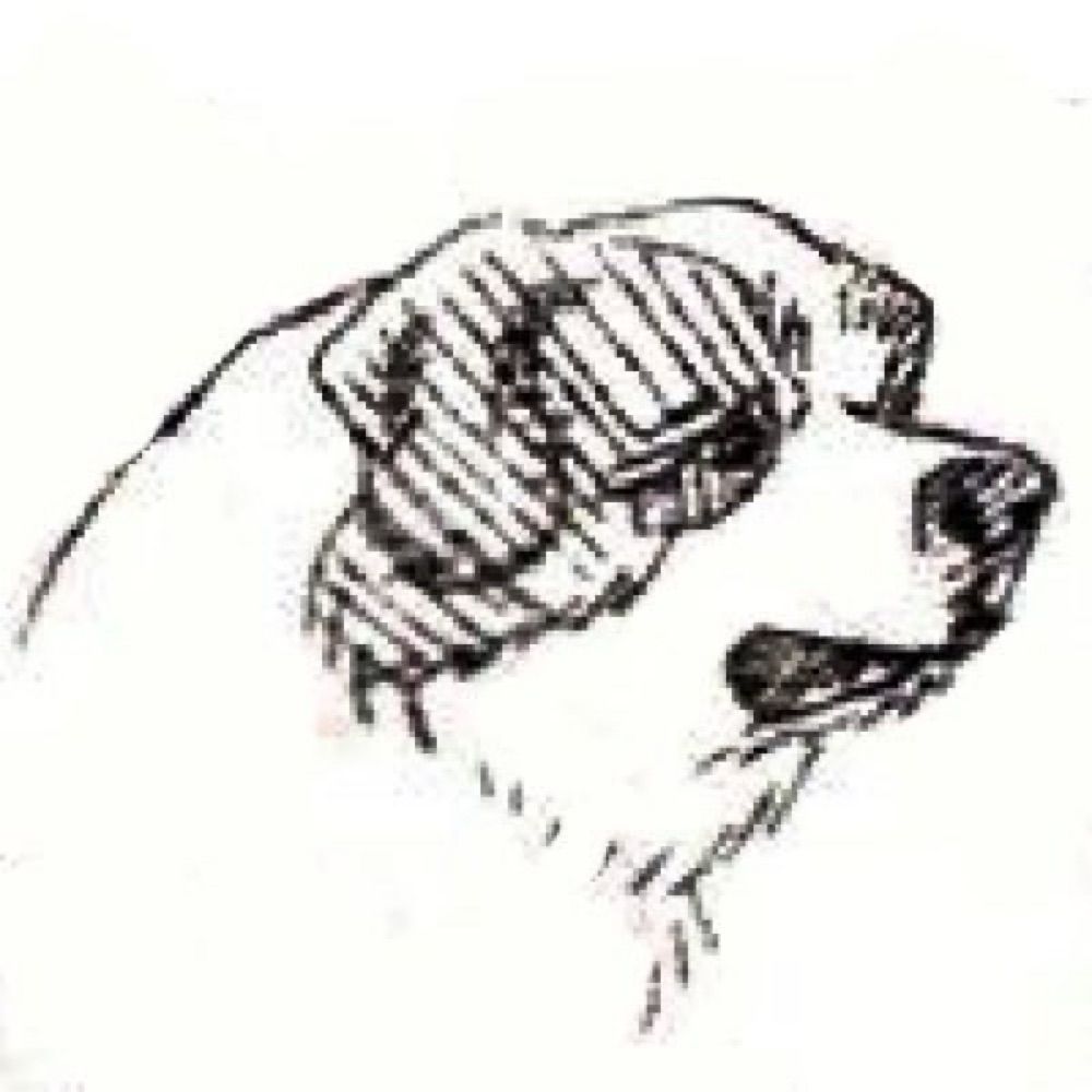 角刈りの犬