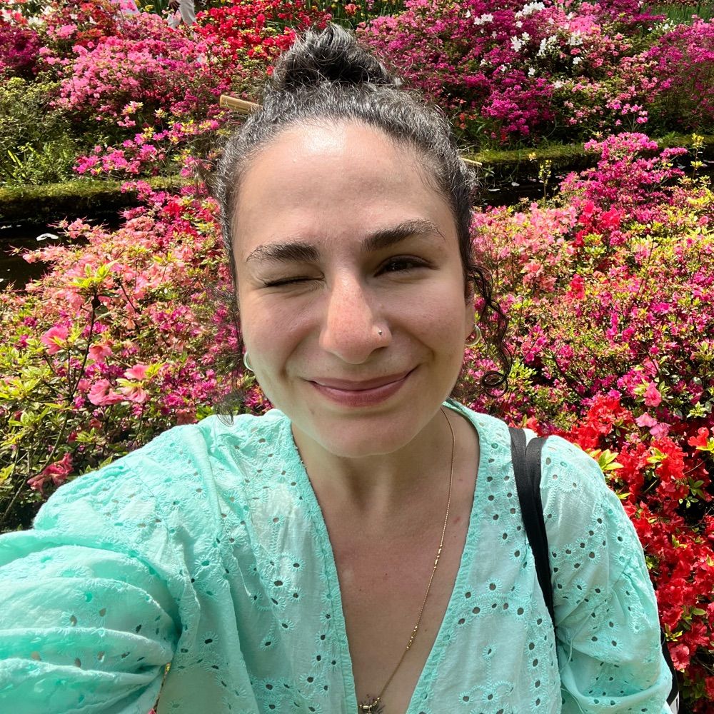 Delaram Sadeghzadeh