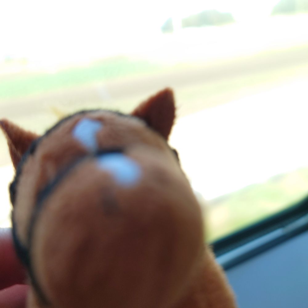 旅に出たい