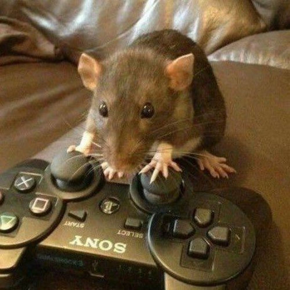 Rat Bastard