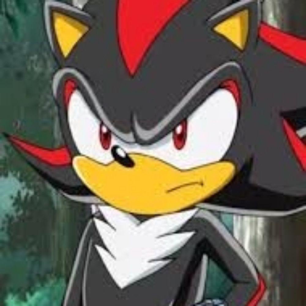 Shadow the Swaghog