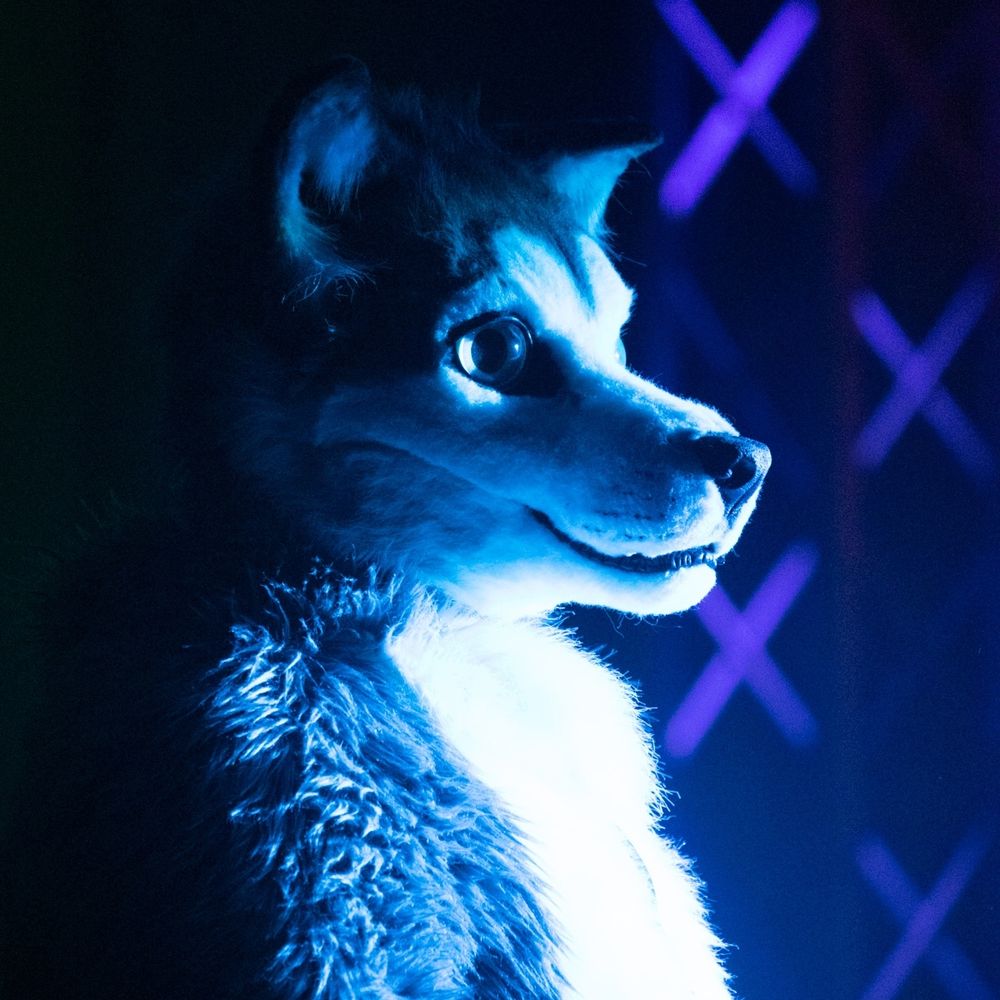 Skipp_Wolf