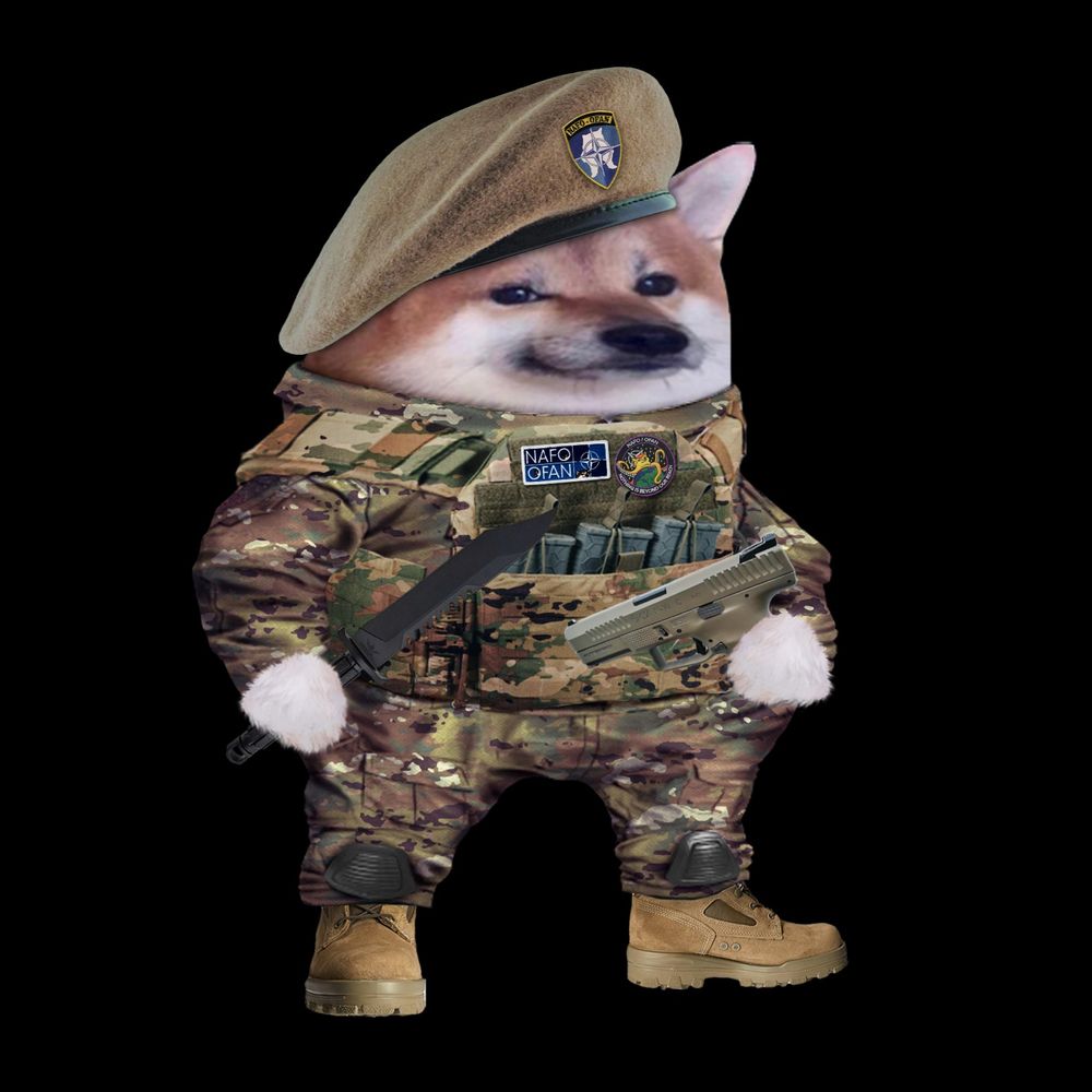 sajbicz fella 🜂 bring the war to them 🜂