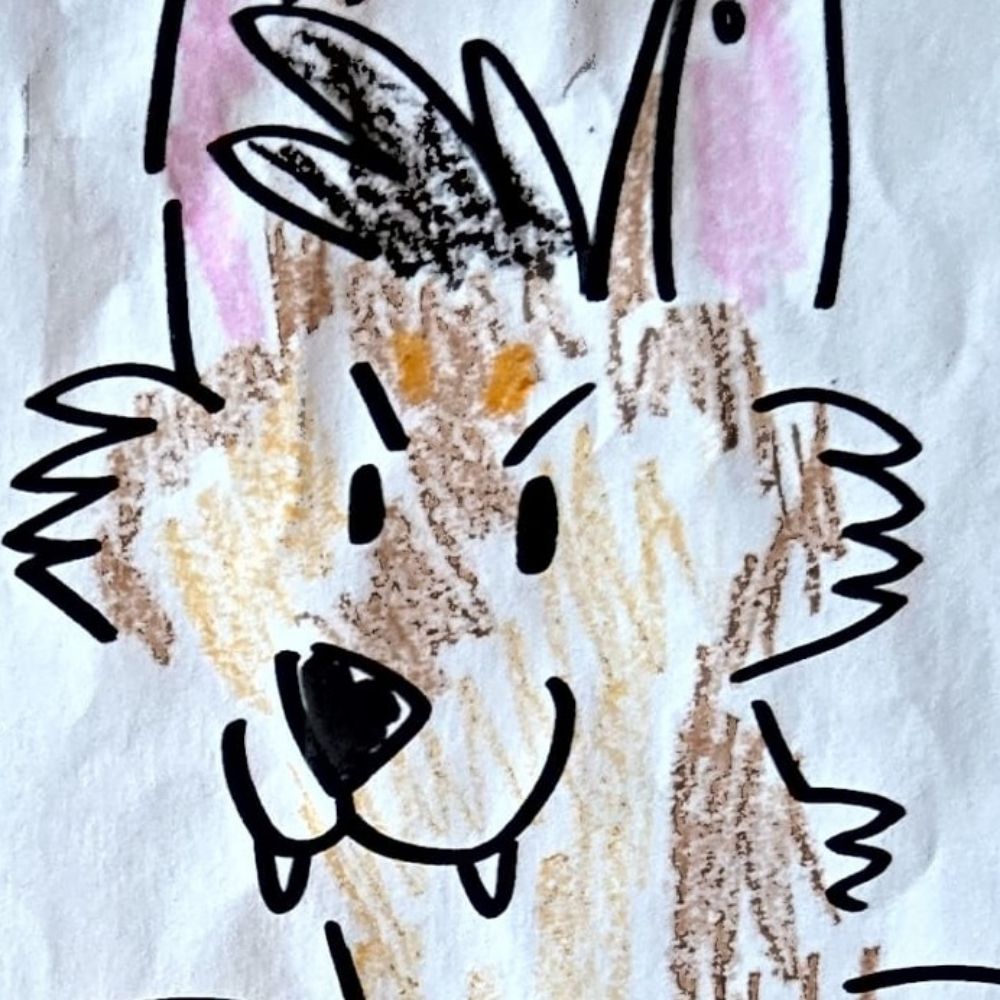 Baci Doberman