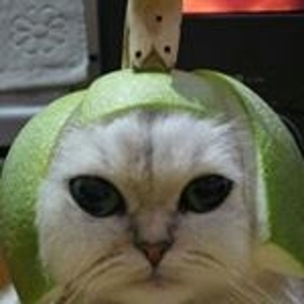 jadoes (mog)