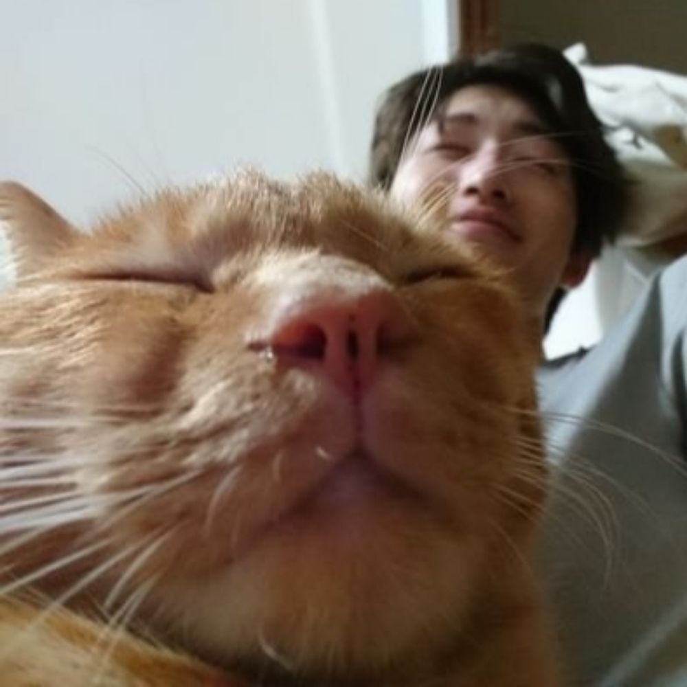 anyakawa1115.bsky.social