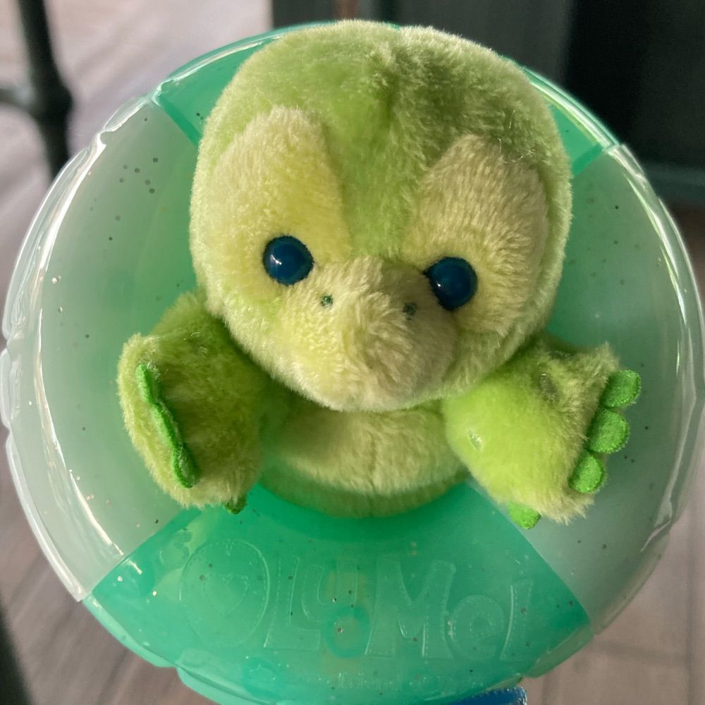 ふゆ🌊