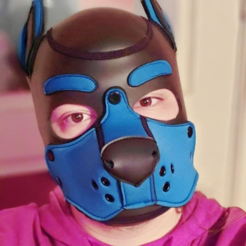 Pup Ferri