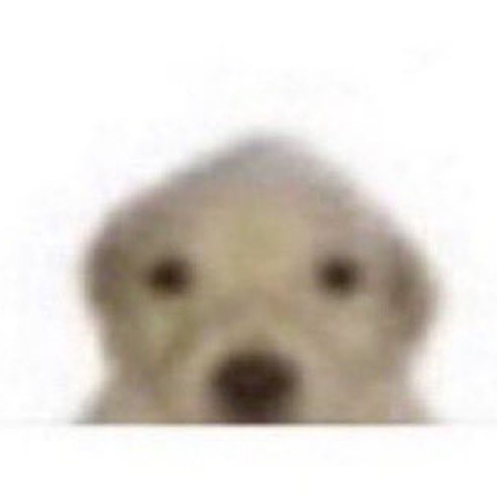 개