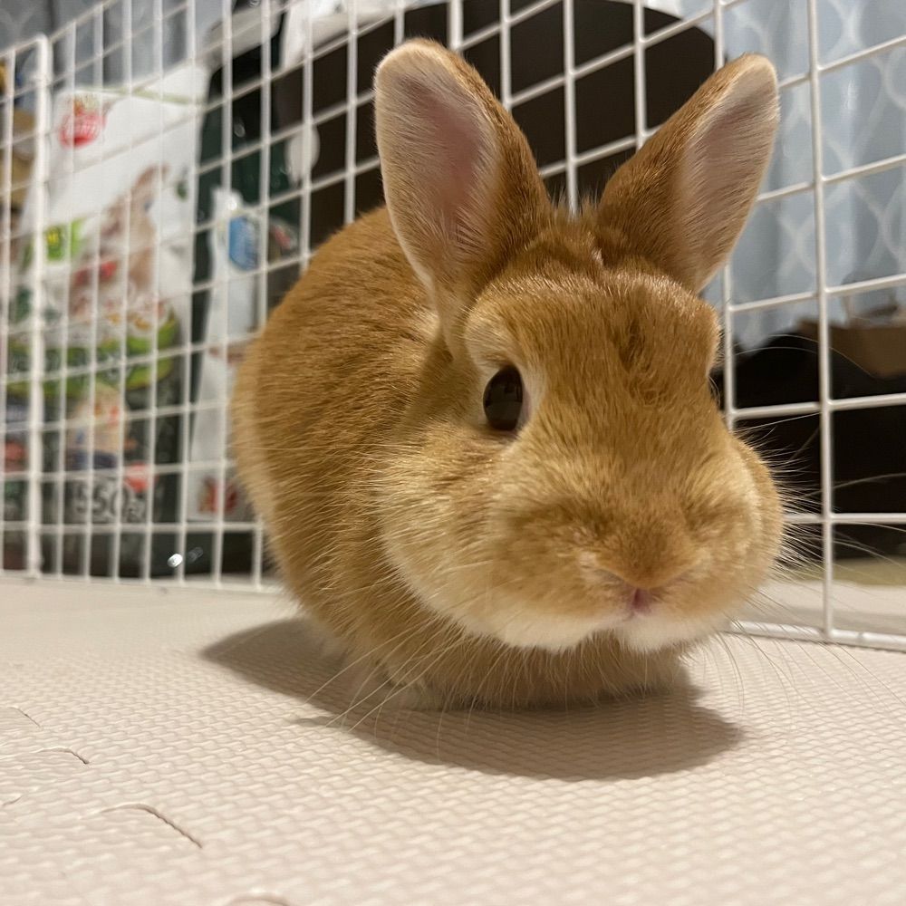 しお_