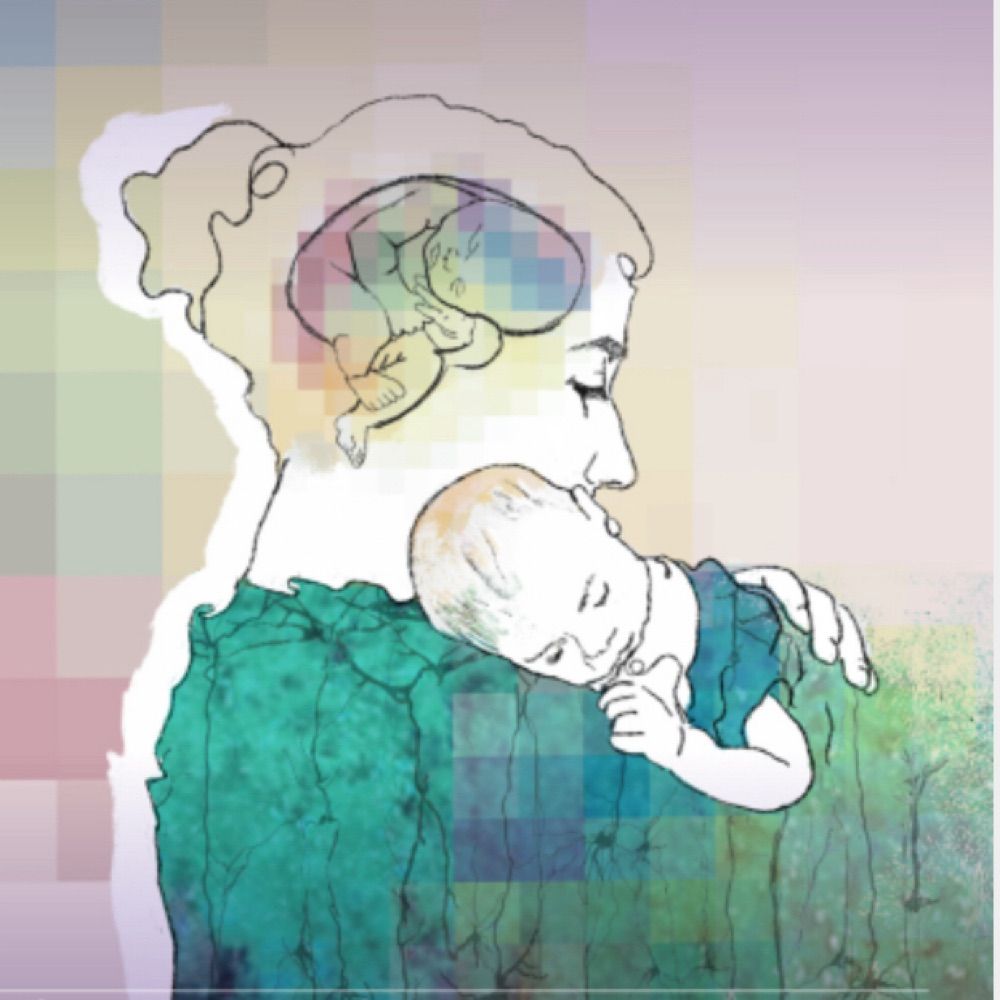 Neuromaternal