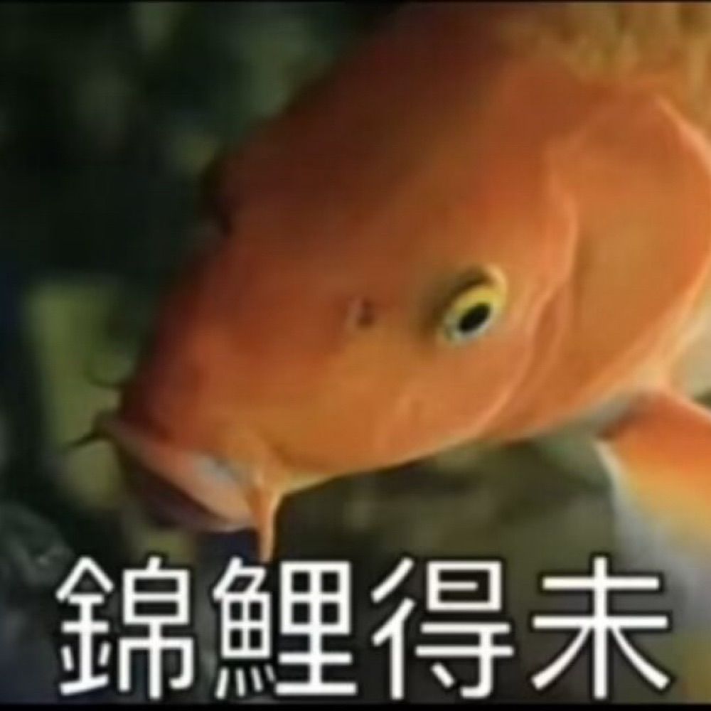 木有有有有有hq