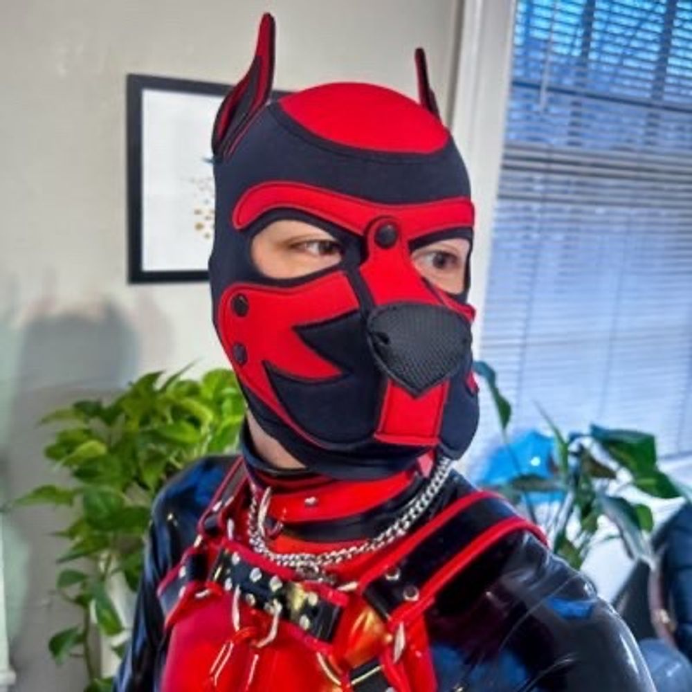 Rubber Pup Kitsu