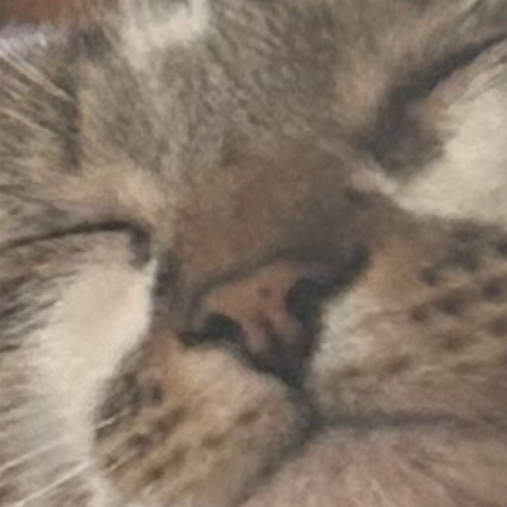 Cullen