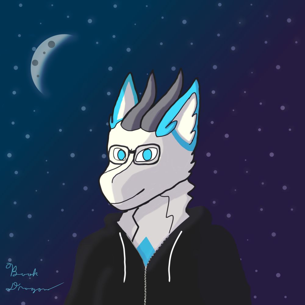 TheBookDragon
