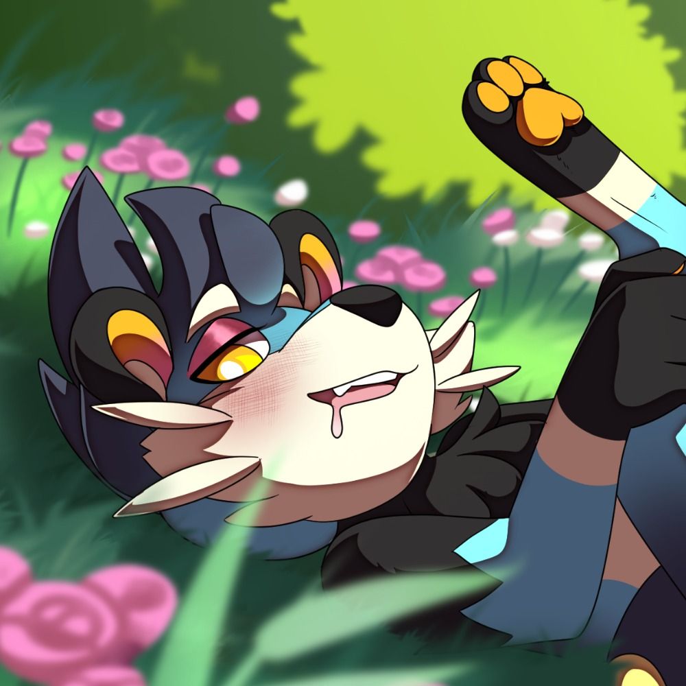 PickyNickit || Trans | He/Him | 🔞