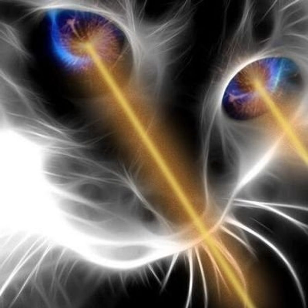 Lazer Cat's avatar