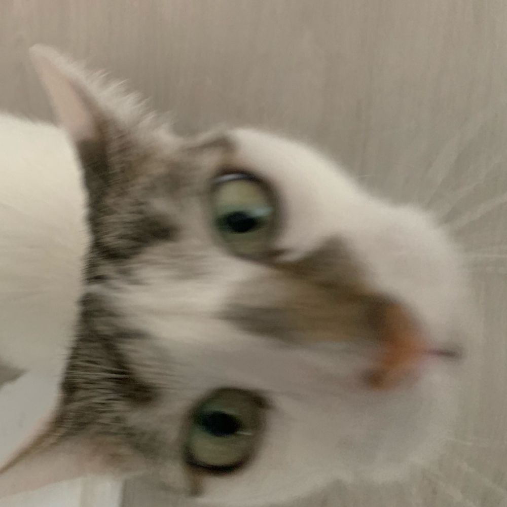 Isaaaaaa