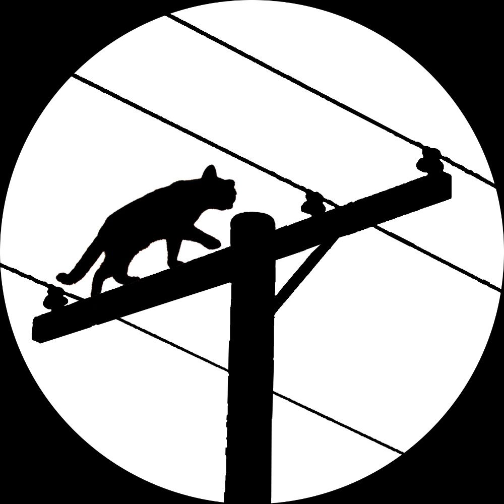 Catalyst Cooperative