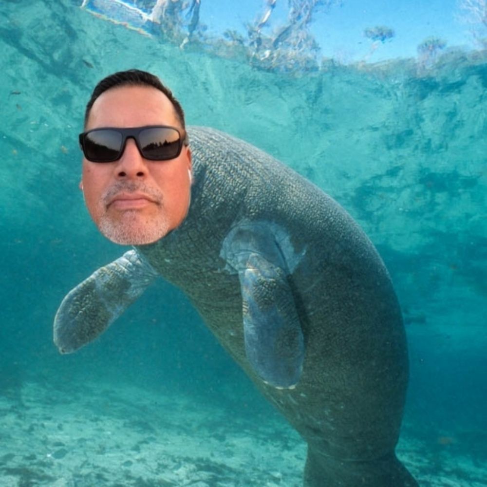 Lakota Manatee