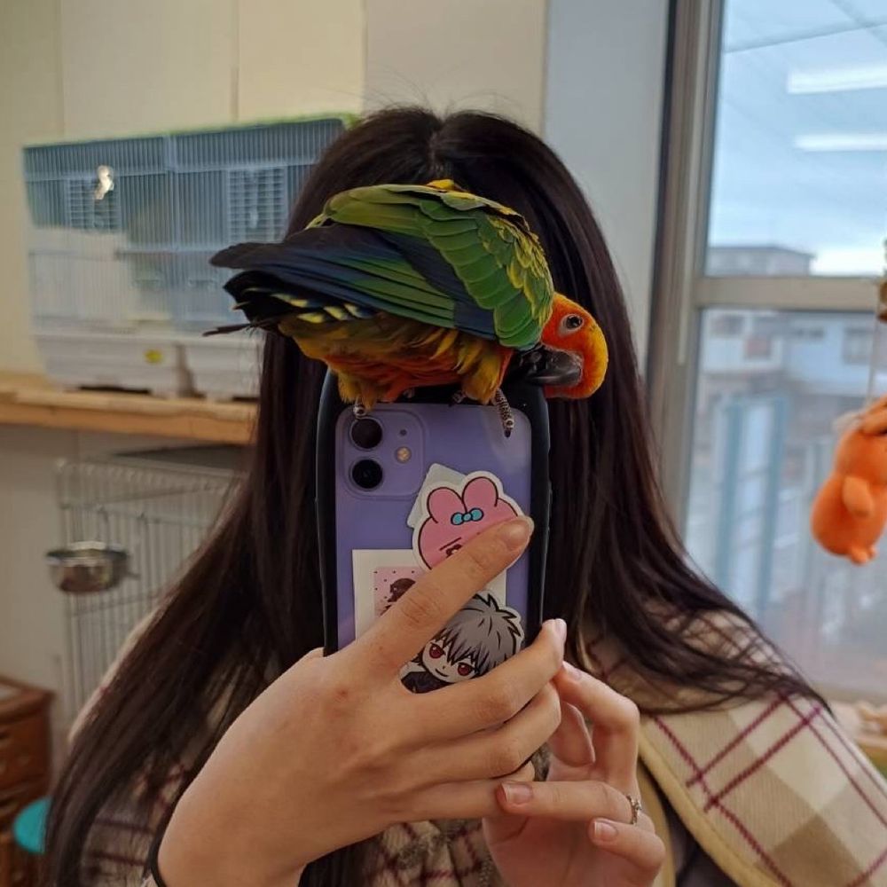 らむね