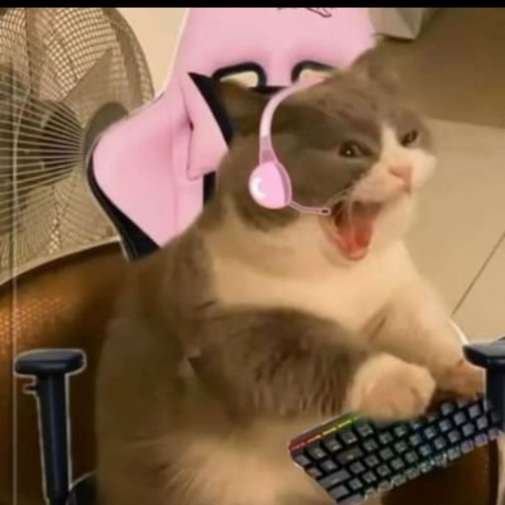 thayzinha da twitch 