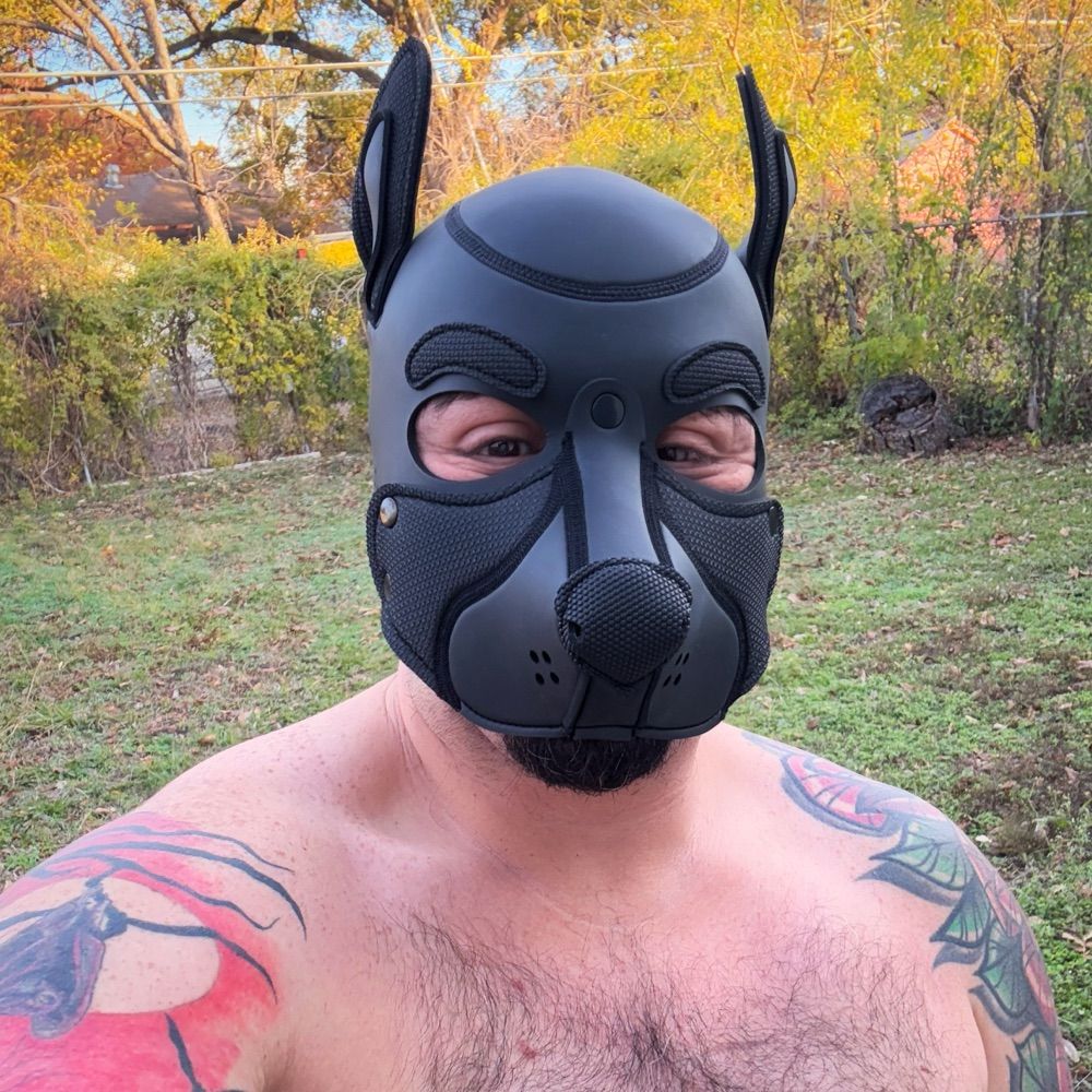 Pup Dante