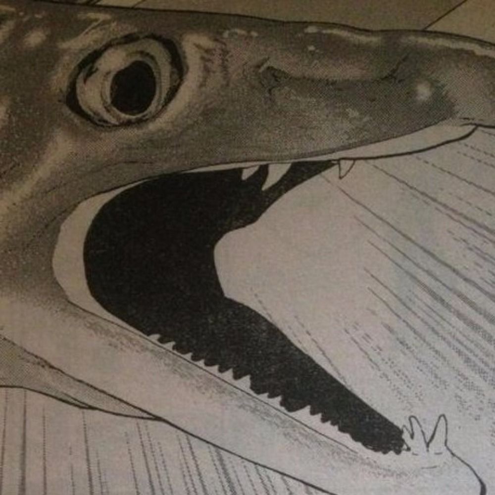 はも