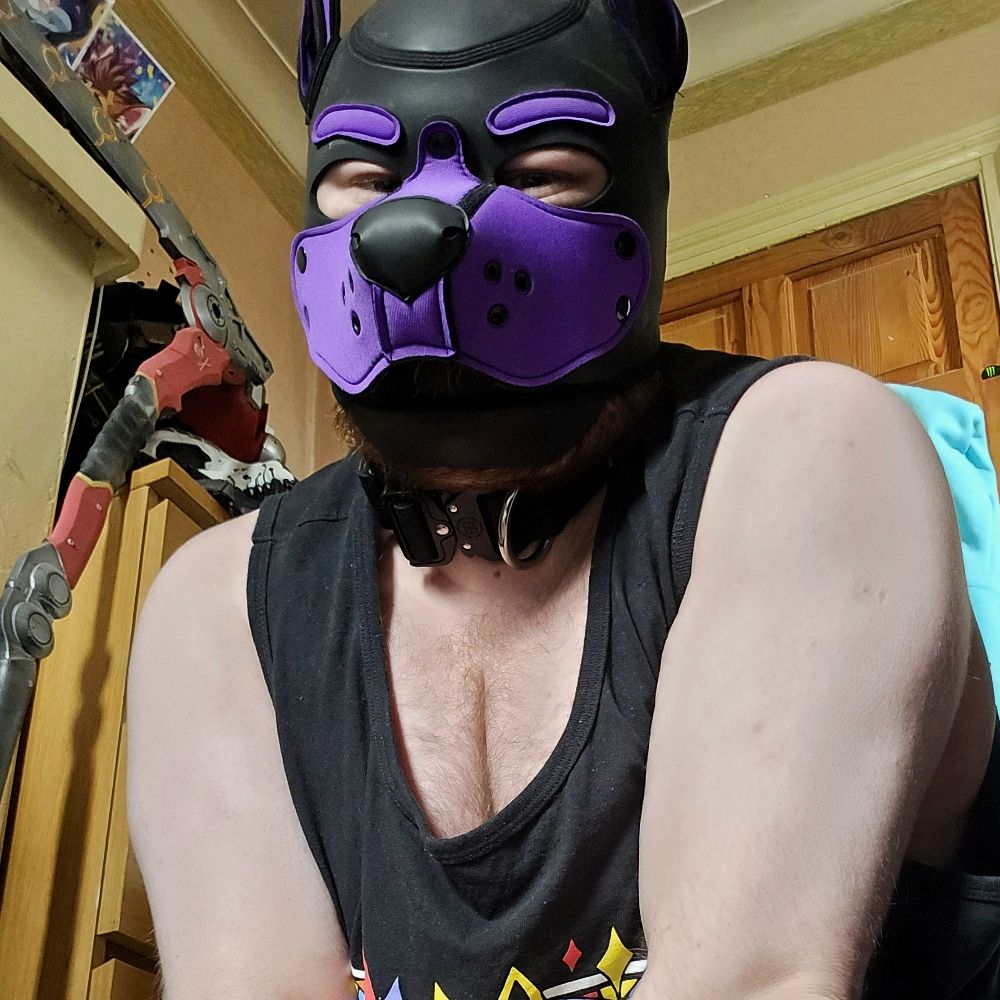 Puppydog Kit 🏳️‍🌈