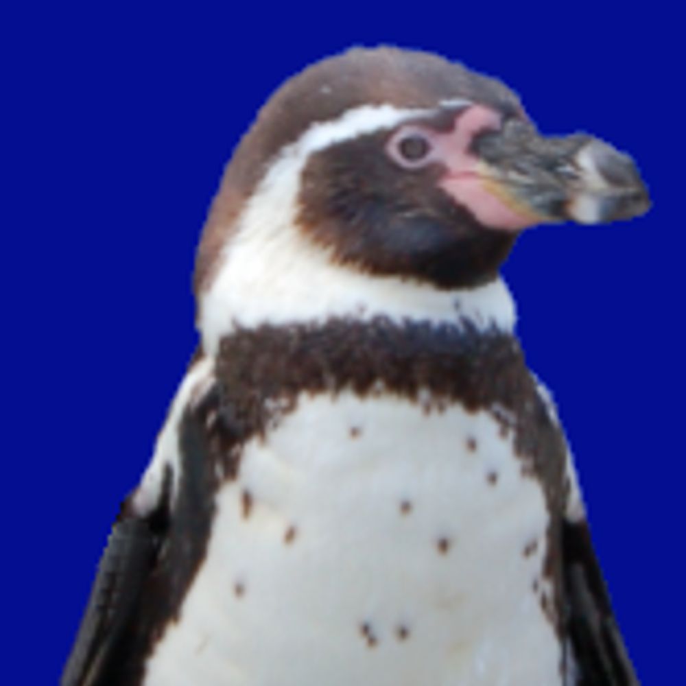 Stewart Watkiss (PenguinTutor)