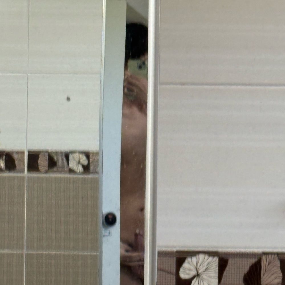 서누2