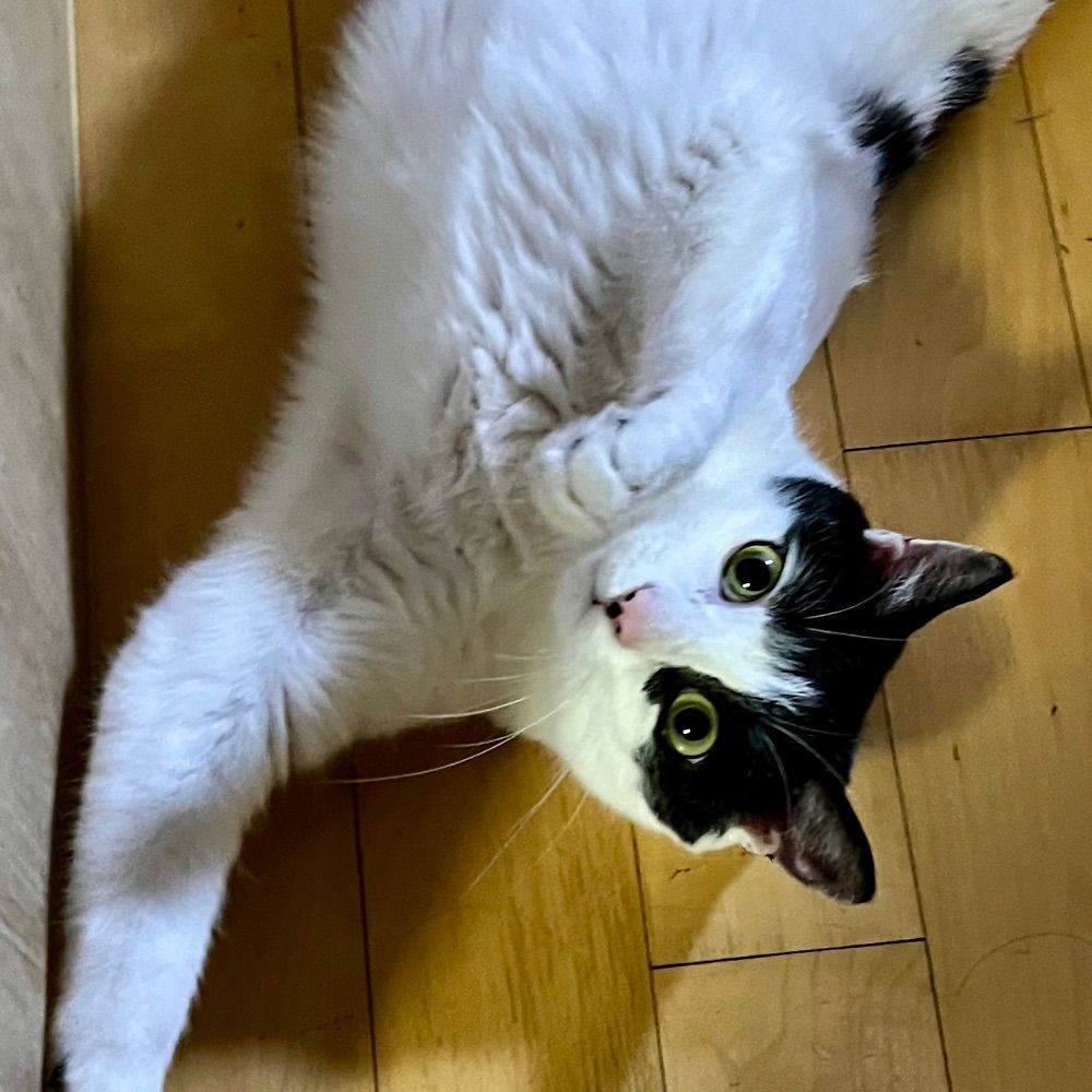 네르