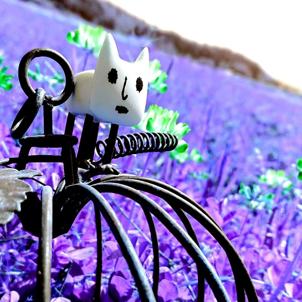 みとま