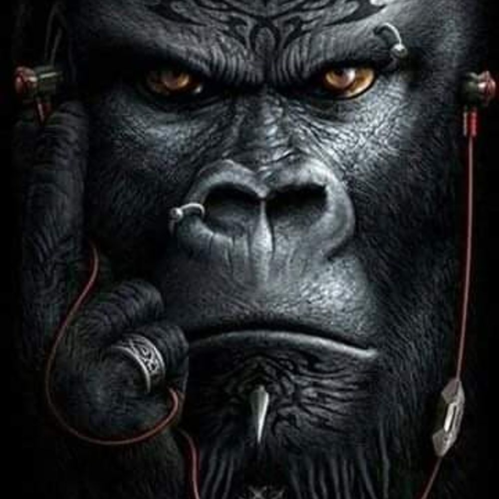 Mr.Biggz