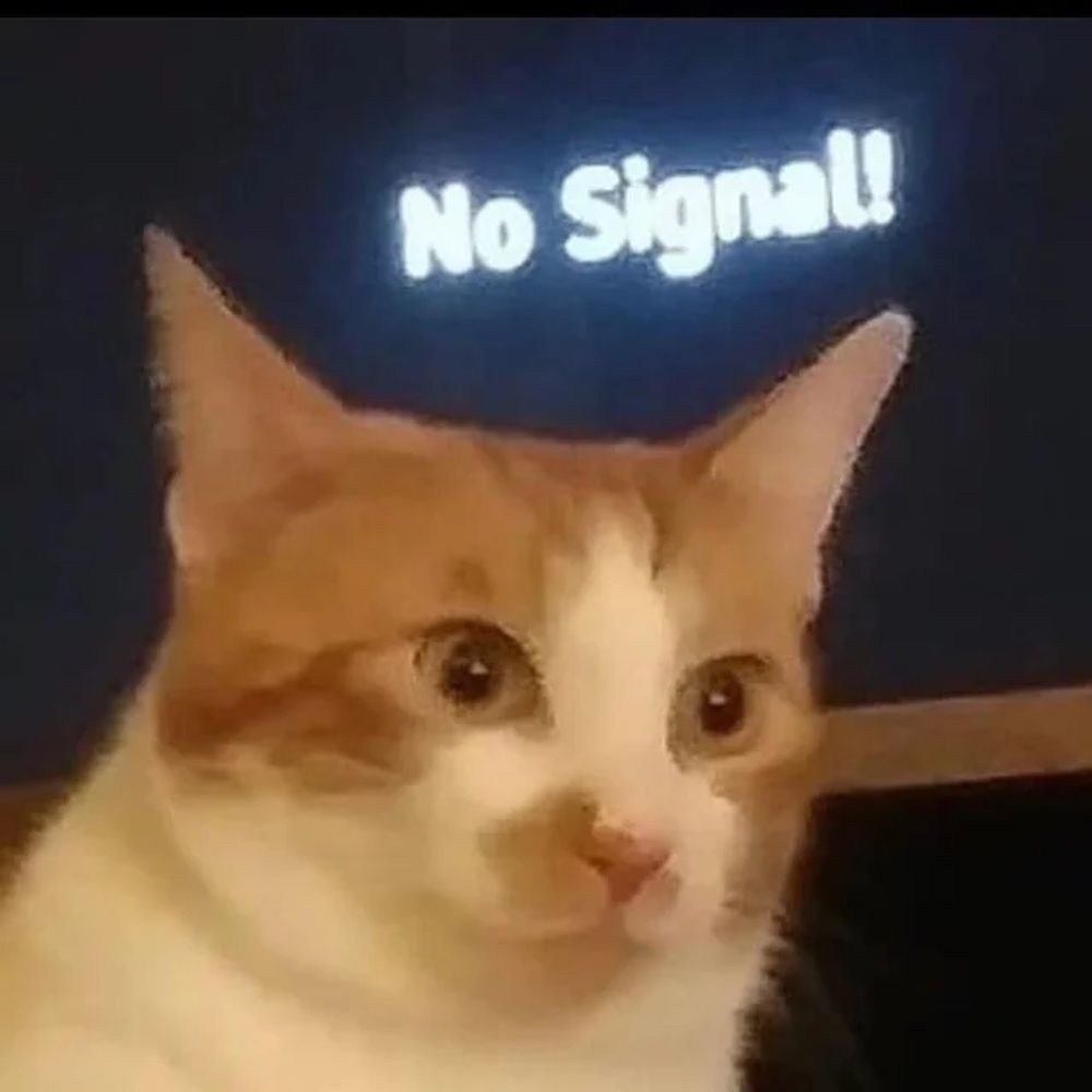Potato