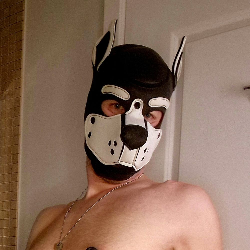 Max | Pup Pearl