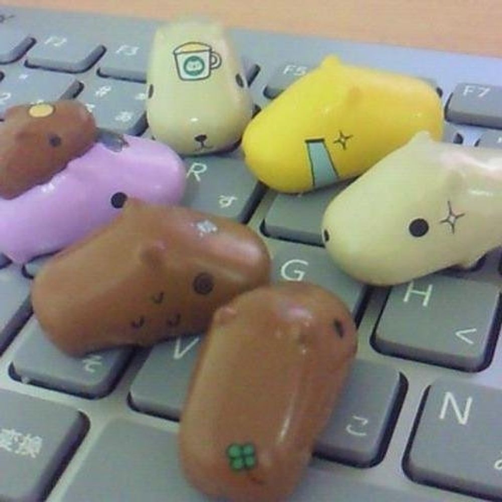 capy