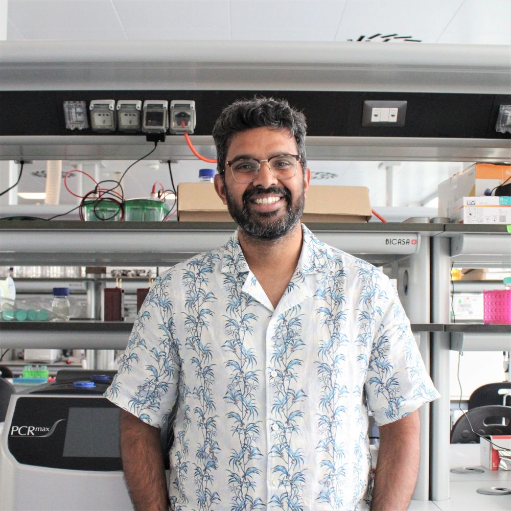 Karthik Ramanadane