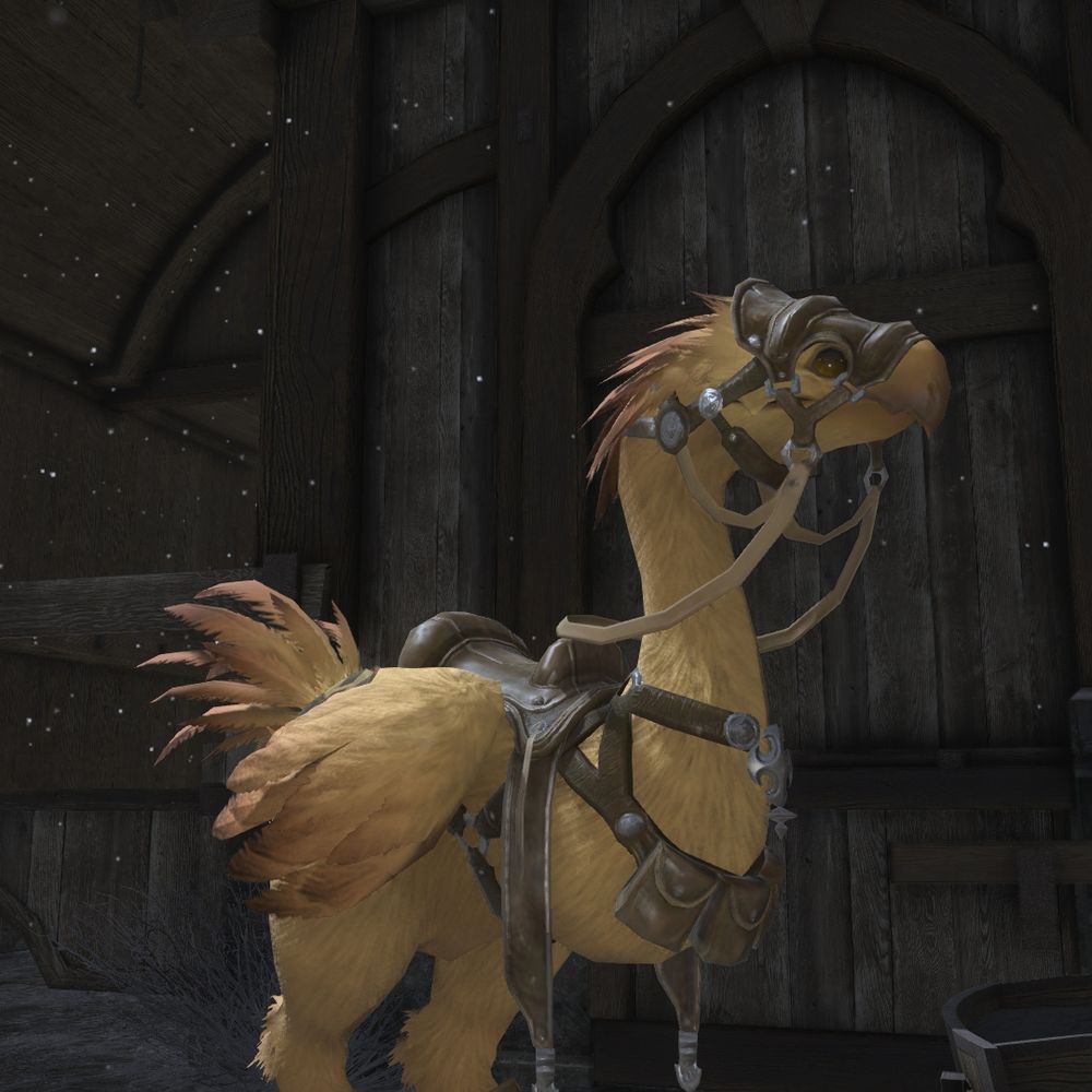 Chocobo