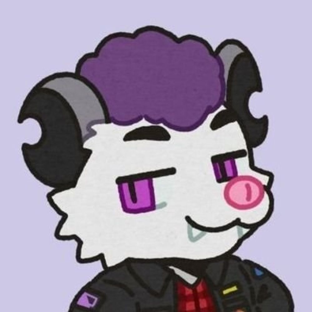 Aster Callisto 