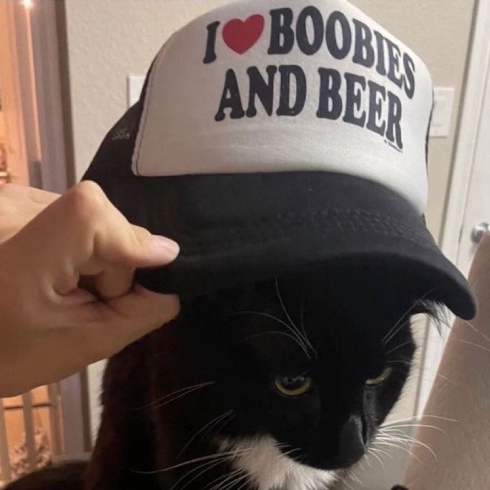 Angel Puss