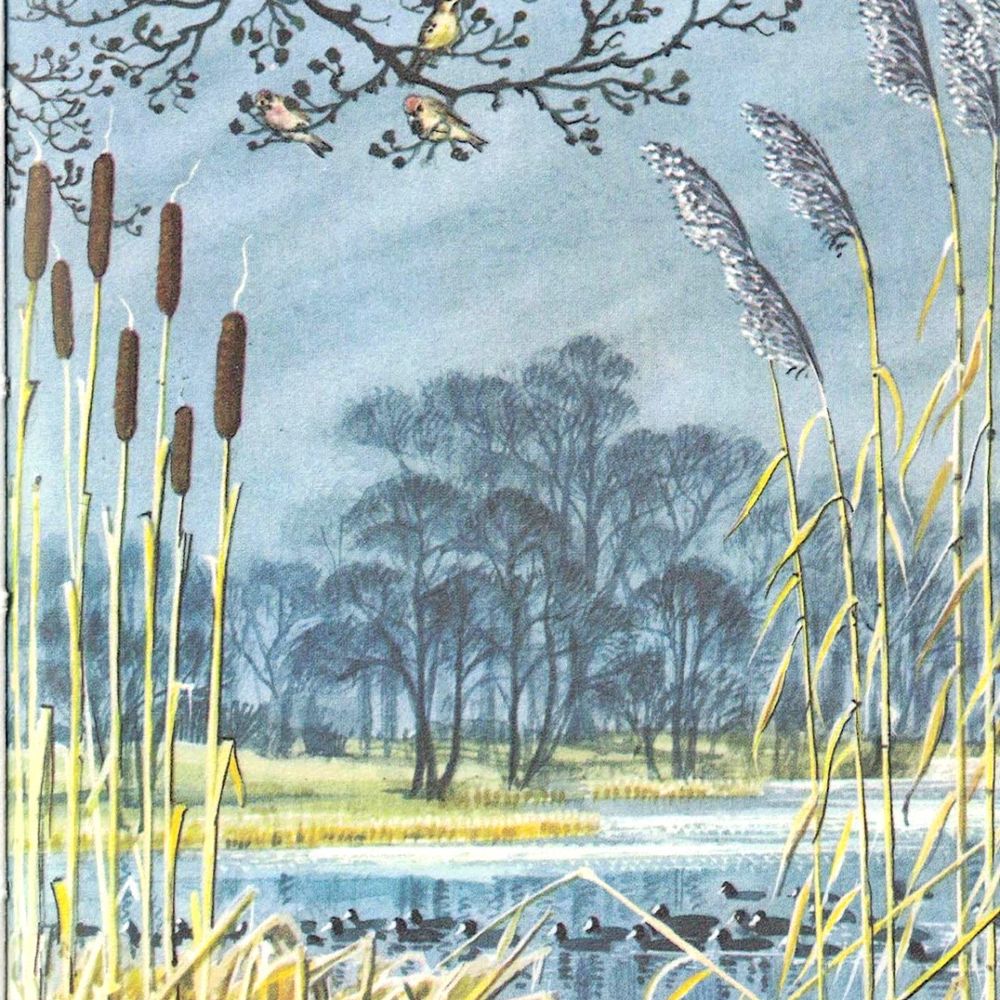 Marga Blankestijn